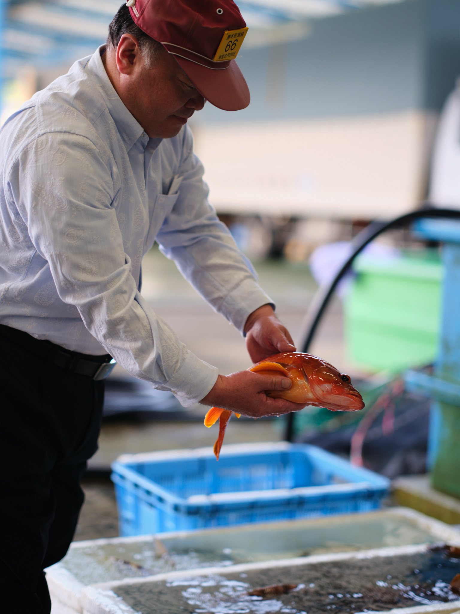 港で魚を手にする漁師